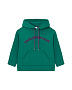 WJ24077 Толстовка, Зеленый