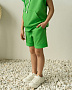 SW22134 Шорты, Травяной