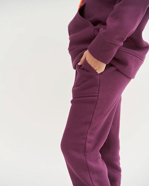 WL23206 Брюки, Сливовый
