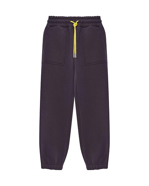 WL24079 Брюки, Серый