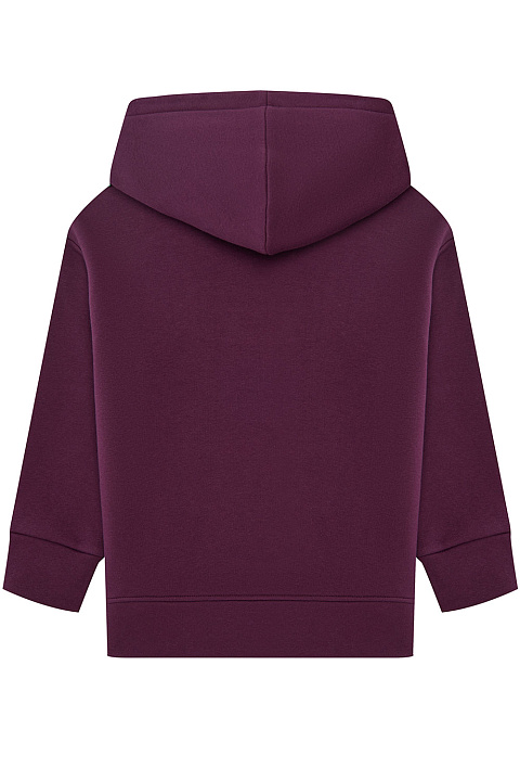 WJ23208 Толстовка, Сливовый