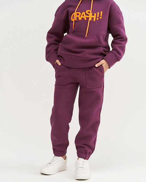 WL23206 Брюки, Сливовый