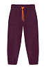 WL23206 Брюки, Сливовый