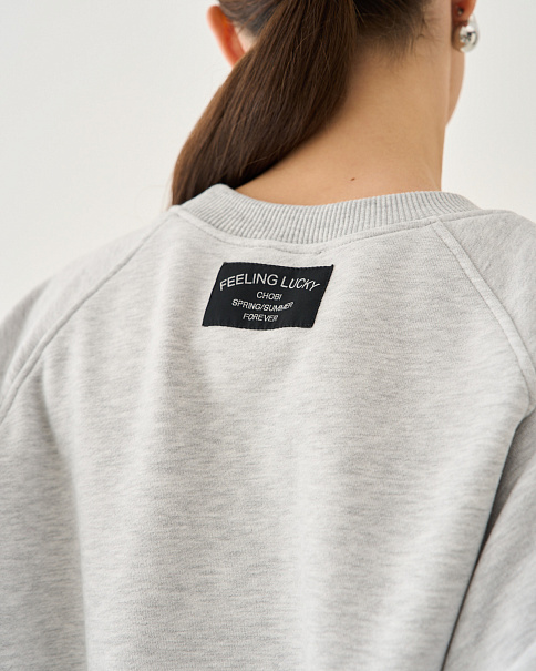 SJ25172-25 Толстовка, Серыймеланж