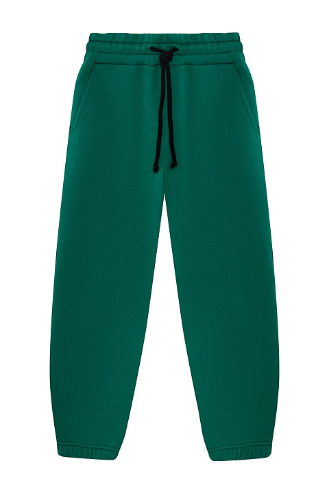 WL23209 Брюки, Зеленый